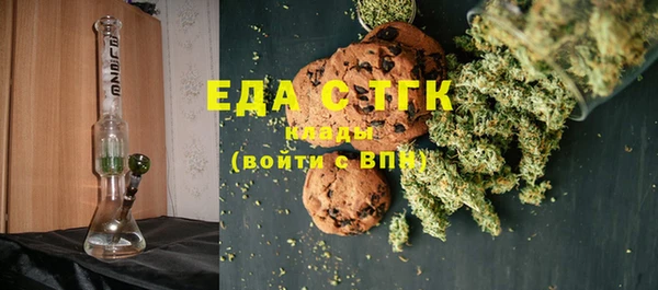 хмурый Алексин