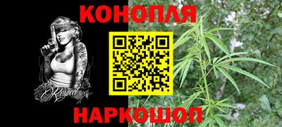 крисы Донской