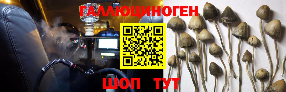 Нефтекамск  Галлюциногенные грибы GOLDEN TEACHER  Галлюциногенные грибы Magic Shrooms  сколько стоит  Вход с VPN 